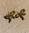 Beaded earrings