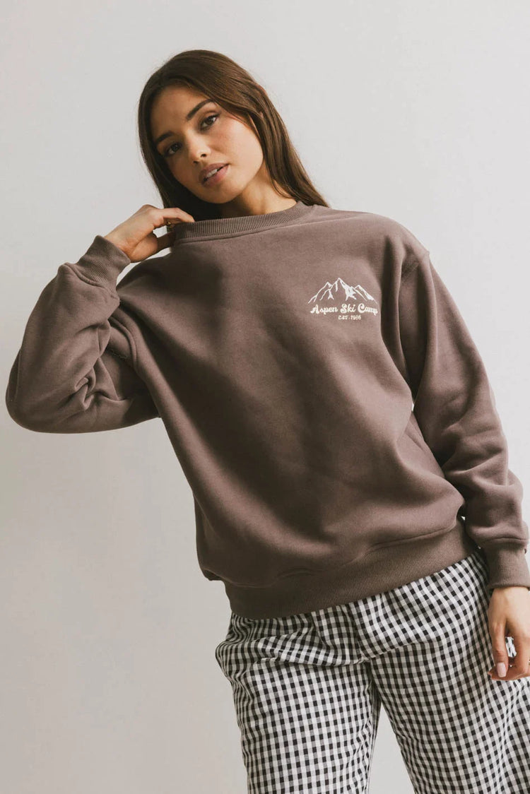 Long sleeves sweatshirt in brown