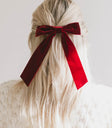 Velvet bow
