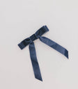 Blue velvet bow