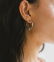 Round earrings in gold