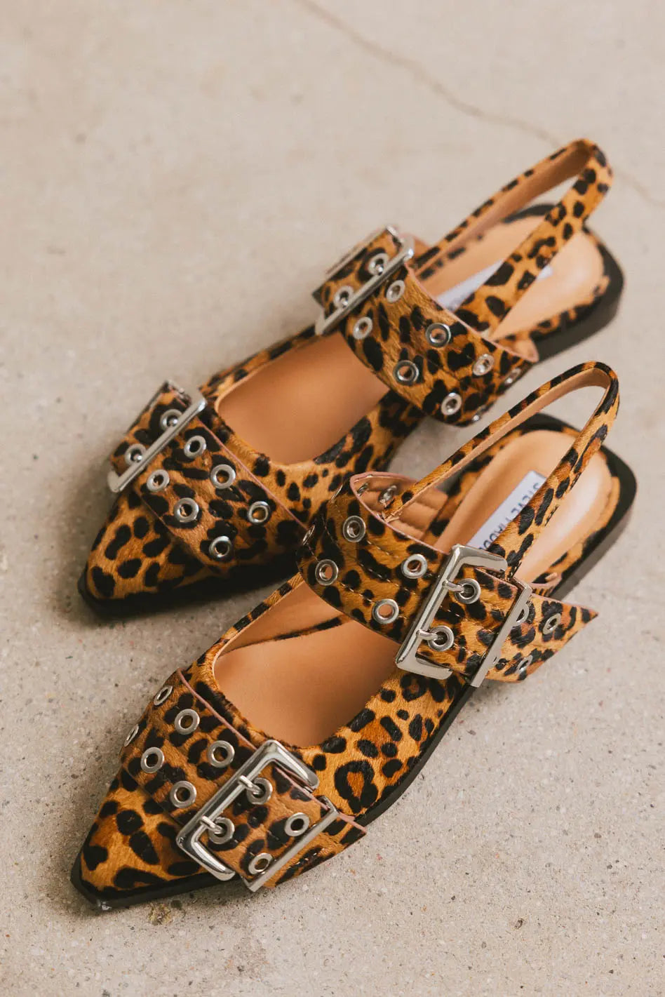 Flats shoes in leopard print