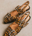 Flats shoes in leopard print