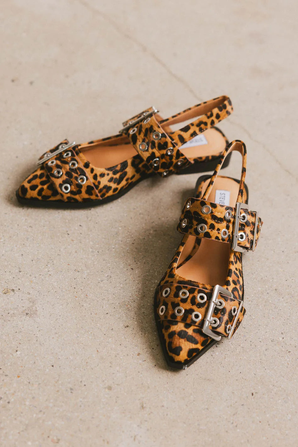Leopard print shoes