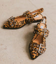 Leopard print shoes