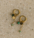 Gold earrings