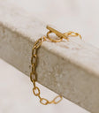 Gold necklace in link chains
